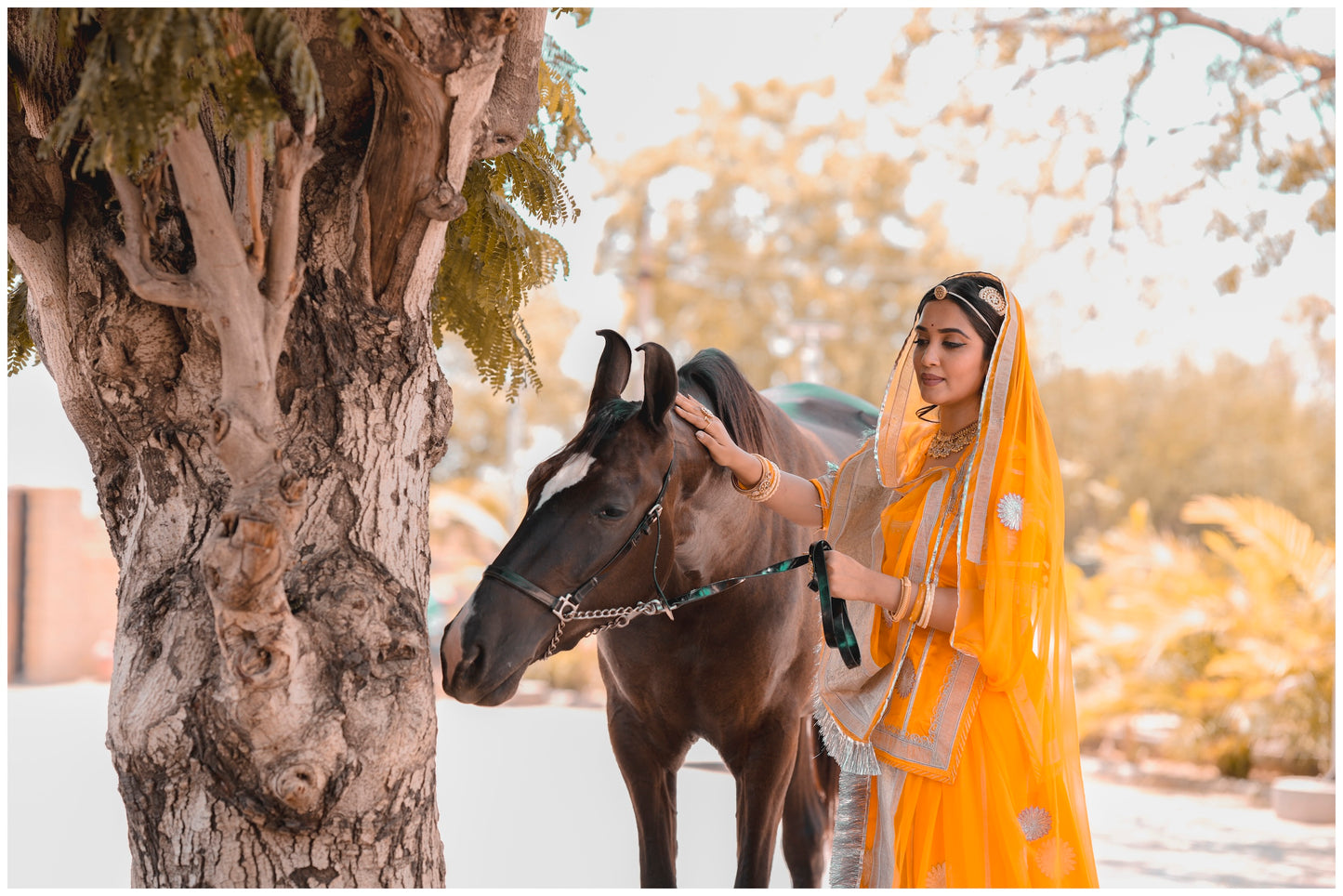 Yellow Silver Lappa Poshak