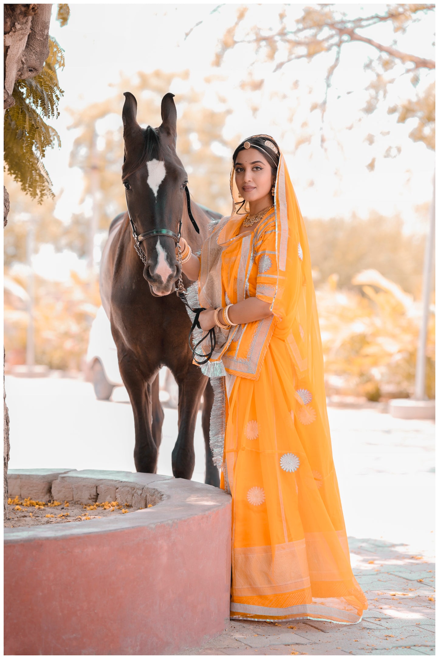 Yellow Silver Lappa Poshak