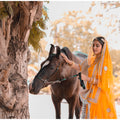 Yellow Silver Lappa Poshak